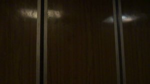 Электрические лифты V=1 м-с, грузоподъемность 320, 1000 кг (710)