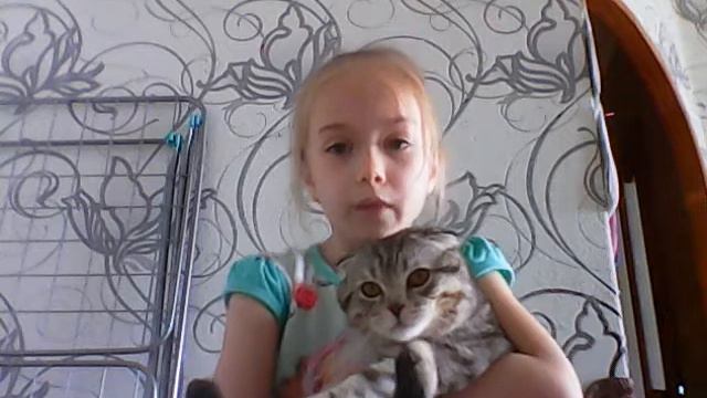 Как ухаживать за кошками и китами смотреть онлайн