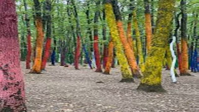 Poezii de toamna, Curcubeul povestilor смотреть онлайн