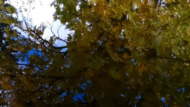 VID 20210927 135918 Зачем твой дух являлся ночью мне... Павел Васильев Лахтинский смотреть онлайн