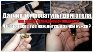 Датчик температуры двигателя - что это, как выглядит