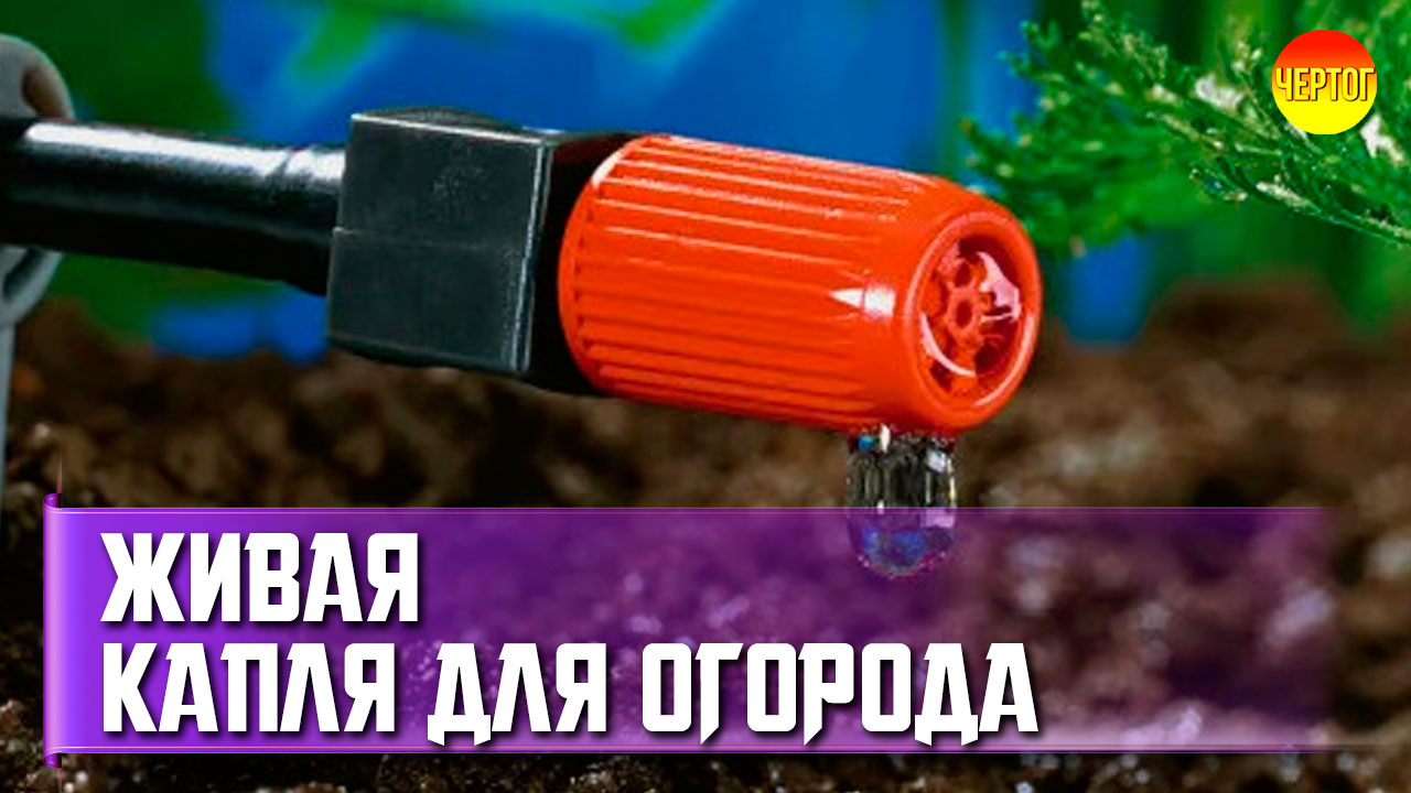 Как выбрать капельный полив. Выбор капельного полива смотреть онлайн