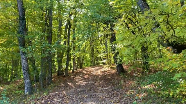 Крым, Алушта, скорпионы, мыс Плака, Ангарский Перевал, Ласпи, Кутузовское озеро, Шторм на море. смотреть онлайн