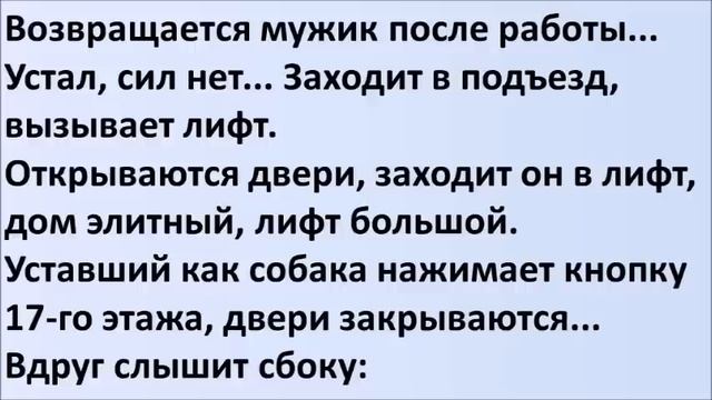 Лучшие смешные анекдоты  Выпуск 557