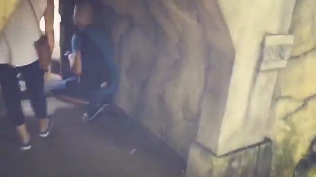 Miami ZOO смотреть онлайн