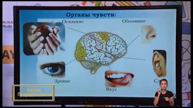 4 класс 17 09 2020 онлайн мактаб смотреть онлайн