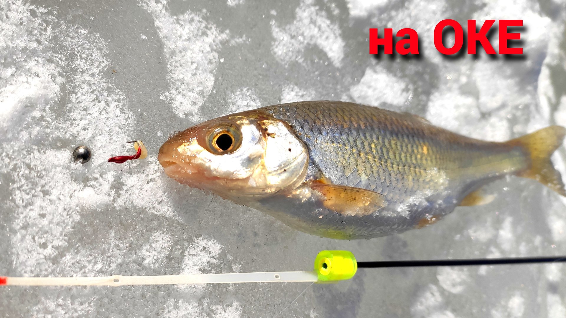 "КЛИНОК" он же ЕЛЕЦ. Насадка "Чернобыльник". Рыбалка на Оке в марте. смотреть онлайн