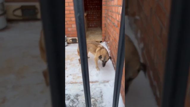 Чем больше узнаю людей...дальше вы знаете смотреть онлайн