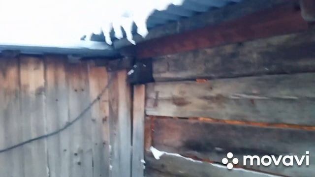 поджимает мороз//дела житейские в деревне//20 января 2023 г. смотреть онлайн