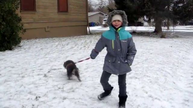 Ruby's Walk In The Snow With Darla