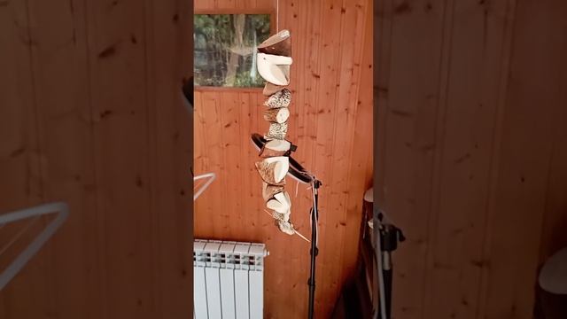 сушу грибы подберёзовики на зиму смотреть онлайн