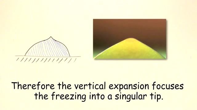 frozen water droplets make tiny trees when they freeze смотреть онлайн