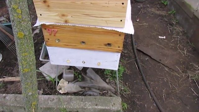 холодная зимовка пчел , раньше это обозначало совершенно другую методику зимовки