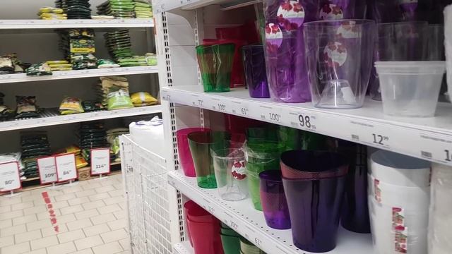 14.03.22.ОРХИДЕИ в Ашан .. и последние дешёвые кашпо . смотреть онлайн