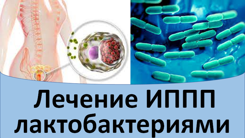 Лечение ИППП лактобактериями смотреть онлайн