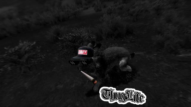 Bayram Şekeri / CSGO (STEAM) ÇEKİLİŞİ!! / L4D2+CSGO+H1Z1+Skyrim Eğlenceli Anlar смотреть онлайн