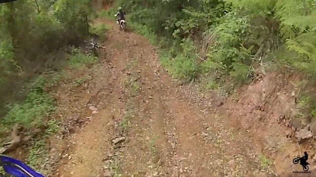 The Pumpkin Invasion Pt2 смотреть онлайн