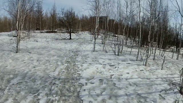 Французкий бульдог Боня прячется от котлет. Что с бездомными собаками. смотреть онлайн