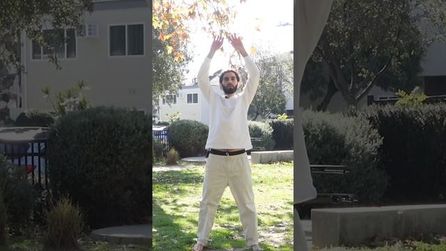 Сбрасываем напряжение с тела #расслабление #разминка #цигун