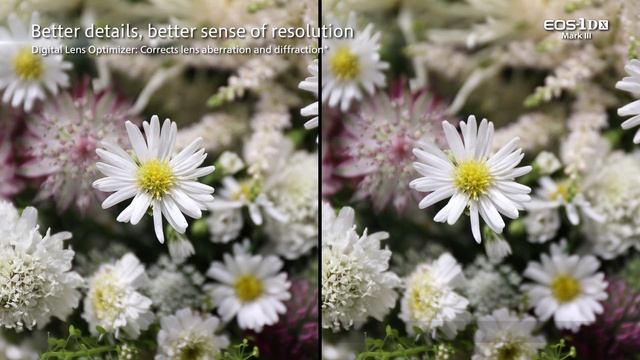 Canon EOS-1D X Mark III - The Newest Flagship Full-frame DSLR смотреть онлайн