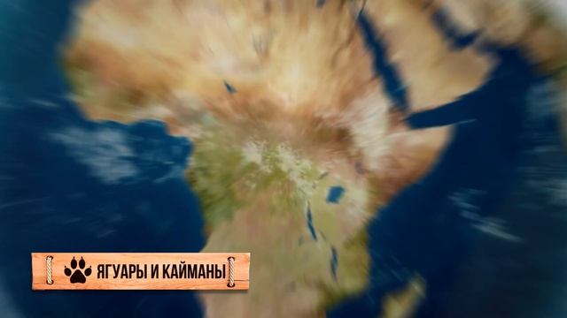 Вот Почему Слоны Ненавидят Львов смотреть онлайн