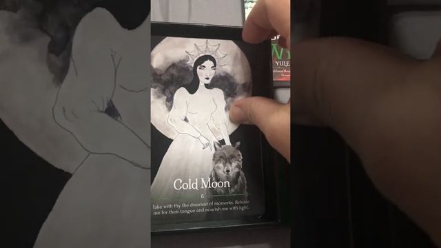Seasons of The Witch Yule Oracle- Flip thru review смотреть онлайн