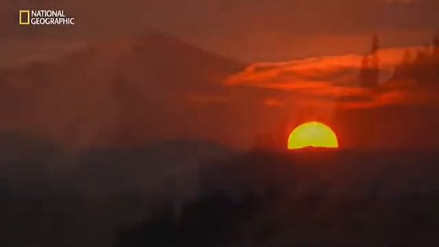 Старатели Добыча драгоценных камней 5 я серия смотреть онлайн