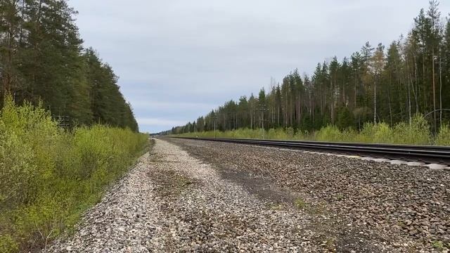 Воркута Москва