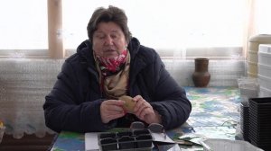 Январь. Прорастает картофель? Что делать?