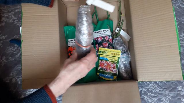 Посылка почтой саженцы роз #potemkin3 Палкино смотреть онлайн