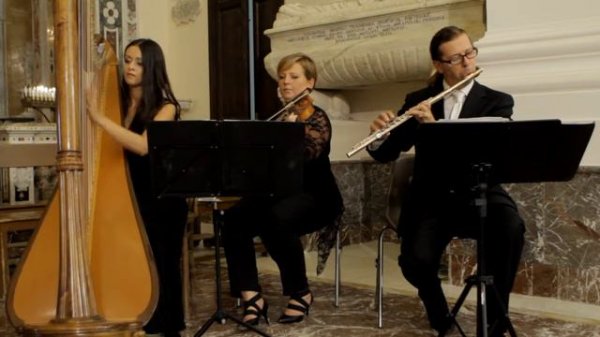 Harp violin flute - Air on the G string BACH