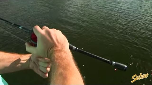 Salmo Fatso обзор