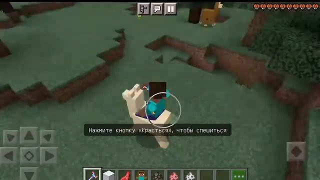 ПРЕВРАЩЕНИЕ В МОБОВ! МОРФ в МАЙНКРАФТ ПЕ minecraft pe смотреть онлайн