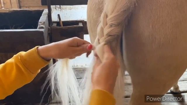 Как легко заплести хвост пони (лошади) смотреть онлайн