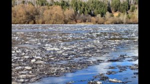 "Весенние ручьи"