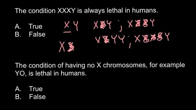 Possible Or Not: XXY; XXXY; XXYY; XXXXY And YO Genotypes?
