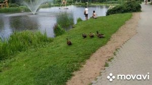 Штыковские пруды Приморский край .Отдых и развлечения в Приморском крае .