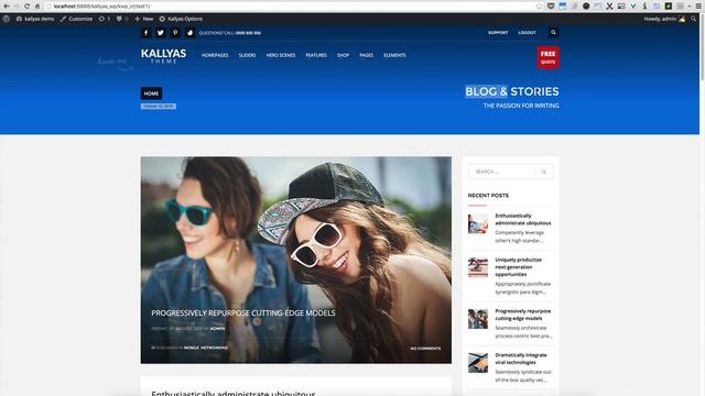 Blog Options in Kallyas options ( Kallyas WordPress theme v4.0 ) смотреть онлайн