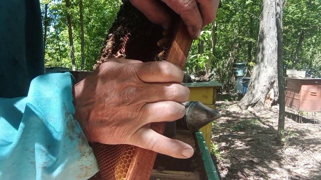 Найшвидший спосіб виведення матки. смотреть онлайн