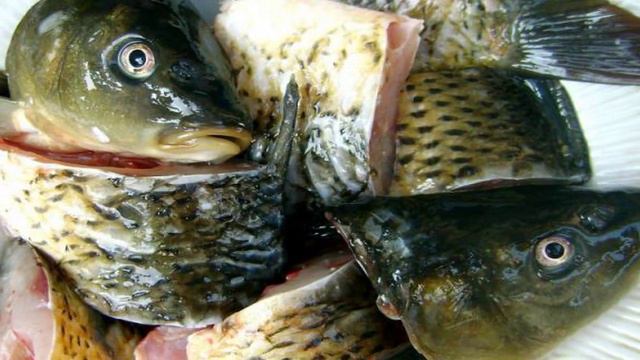 Рецепты от шеф-повара