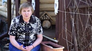 КАК ВЫРАСТИТЬ ЛИСТ САЛАТ?? ВЫРАЩИВАНИЕ САЛАТА✅