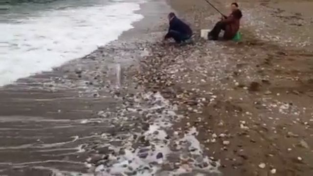 Новый Свет,Ульяна помогает ловить рыбу на пляже,29 октября. смотреть онлайн