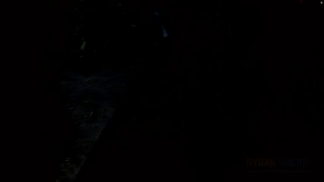 Ловля карася на деревенском пруду. Рыбалка в Подмосковье на маховую удочку (2021) смотреть онлайн