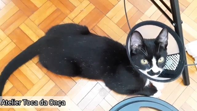 Tilda Fia Doll (Boneca de pano Tilda) estilo Fia Doll Dream Tone Finnager Tilda's Friends TUTORIAL смотреть онлайн