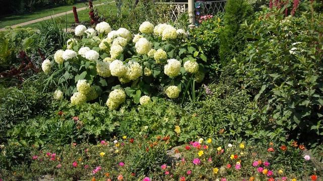 Тайны уборки