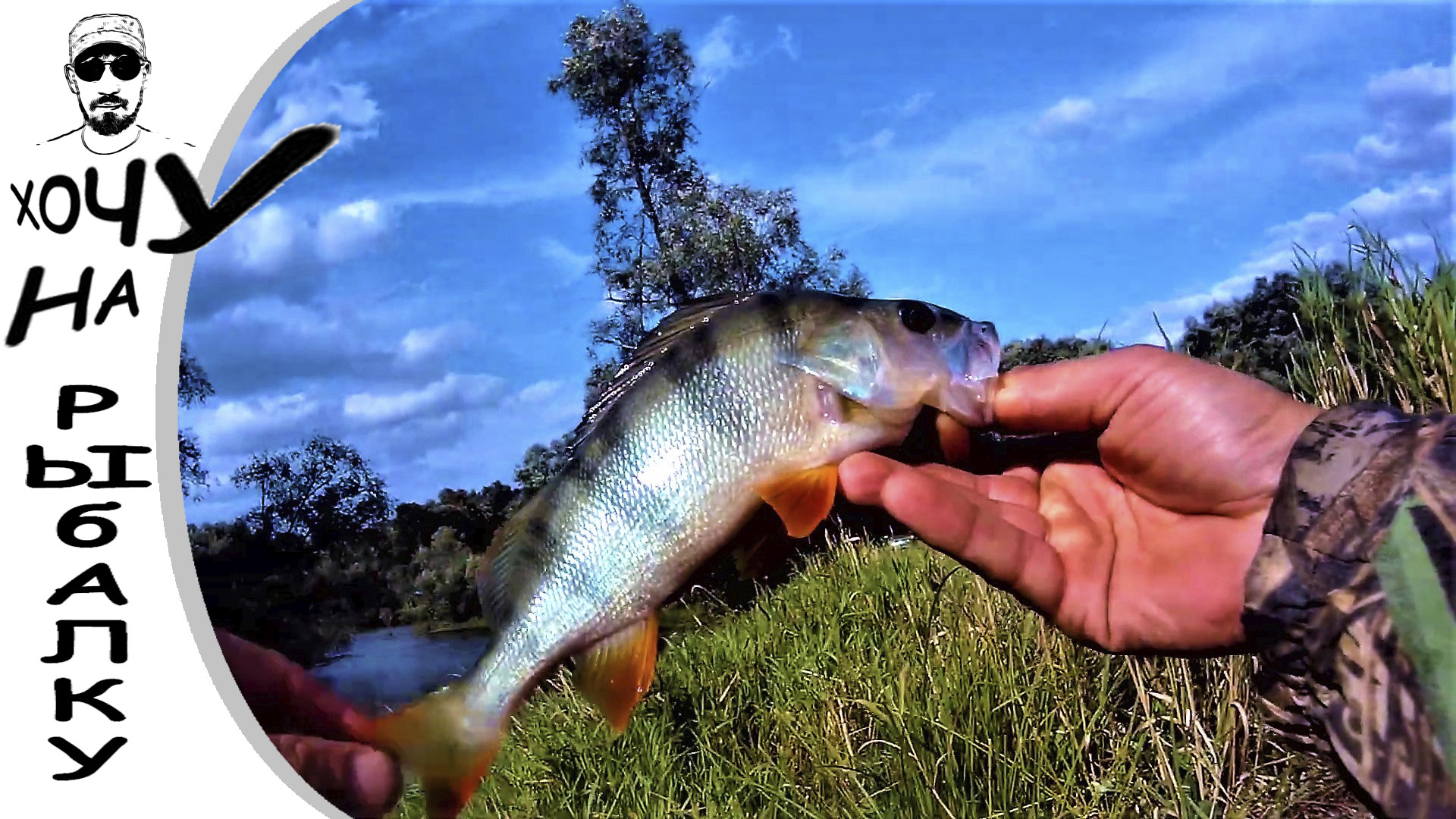 Когда рыба отказывается ловиться, даже окуня приходится уговаривать смотреть онлайн