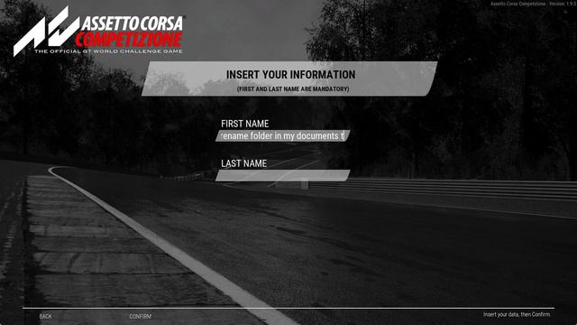 Assetto Corsa Competizione  HOW TO RESET ALL SETTINGS TO DEFAULT