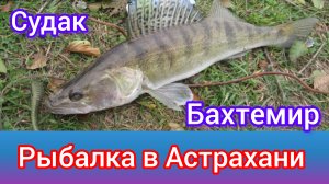 Судак. Бахтемир. Рыбалка в Астрахани.