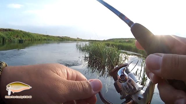 Strike Pro Cranky-X SS 40 - поверхностный воблер на голавля. В деле! смотреть онлайн