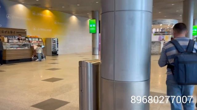 Аэропорт Домодедово без документ авиакасса Москва метро Кузьминка арзон билет